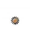 BROSSE EN BOIS FRENE 45MM - XANITALIA